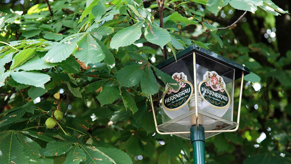 Hofmark Brauereigasthof Hotel Lenting Bagian luar foto